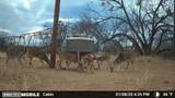 1853 County Road 220 - Photo 37