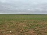 TBD Fm 1812 ( Tract 1 ) - Photo 5