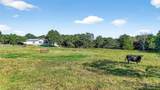 437 County Road 292 - Photo 9