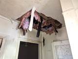 335 Avenue J - Photo 6