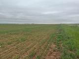 TBD Fm 1812 (Lot 3) - Photo 2