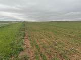 TBD Fm 1812 (Lot 3) - Photo 6