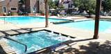 2312 Balsam Drive - Photo 15