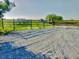 10 ac.  Tract 7 Cr 131 - Photo 3