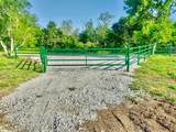 10 ac.  Tract 7 Cr 131 - Photo 5