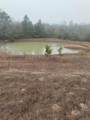 TBD County Road 204 - Photo 1