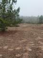 TBD County Road 204 - Photo 2