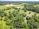 16713 Creek Bottom Court - Photo 4