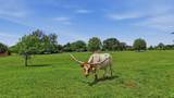 13.65 Ac. Keefer Road - Photo 3