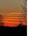 13.65 Ac. Keefer Road - Photo 31