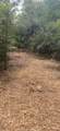 TBD Private Road 190 - Photo 15