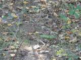 0001 Farm Market 1749 - Photo 16
