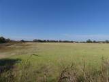 0001 Farm Market 1749 - Photo 4