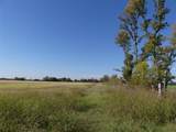 0001 Farm Market 1749 - Photo 5