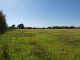 0001 Farm Market 1749 - Photo 6
