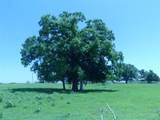 3421 School House Road - Photo 36