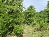 214.68 acres E Truce Road - Photo 10