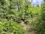 214.68 acres E Truce Road - Photo 11