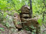 214.68 acres E Truce Road - Photo 12