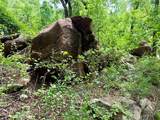 214.68 acres E Truce Road - Photo 13