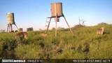 Lot 29 Comanche Hills Drive - Photo 22