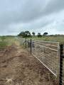 Lot 29 Comanche Hills Drive - Photo 6