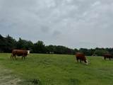6910 County Road 1218 - Photo 5