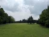 6910 County Road 1218 - Photo 9