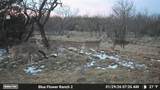 204 Cr 180 - Photo 28