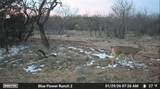 204 Cr 180 - Photo 30