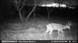 204 Cr 180 - Photo 34
