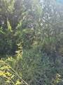 3694 County Road 1103 - Photo 1