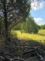 3694 County Road 1103 - Photo 3
