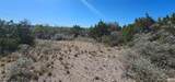 925 Us Hwy 83 - Photo 21