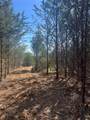 TBD Rochelle Cannon Road - Photo 10