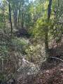 TBD Rochelle Cannon Road - Photo 17