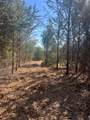 TBD Rochelle Cannon Road - Photo 9