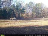 11750 Fm 1159 - Photo 10