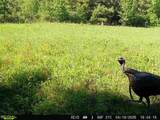 11750 Fm 1159 - Photo 11