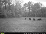 11750 Fm 1159 - Photo 13