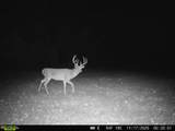 11750 Fm 1159 - Photo 14