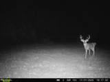 11750 Fm 1159 - Photo 15