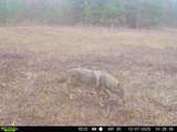 11750 Fm 1159 - Photo 16