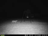 11750 Fm 1159 - Photo 17