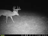 11750 Fm 1159 - Photo 19