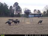 11750 Fm 1159 - Photo 2