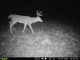 11750 Fm 1159 - Photo 20