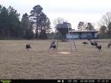 11750 Fm 1159 - Photo 3