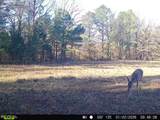 11750 Fm 1159 - Photo 9