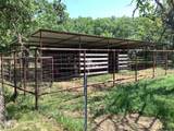 1625 County Road 281 - Photo 12